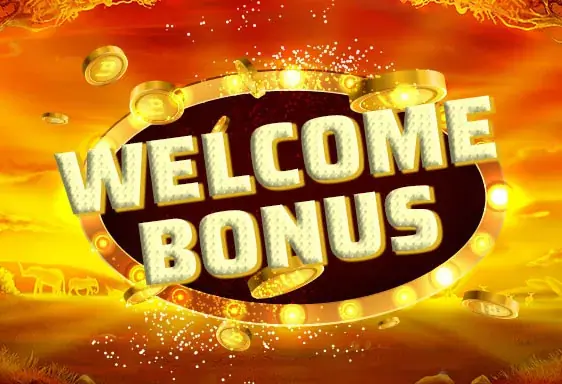 Welcome bonus Rocket casino